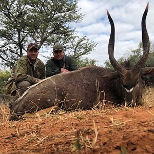 Nyala Hunting South Africa