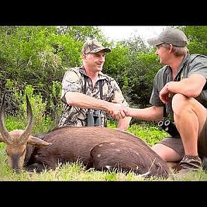Bushbuck and Warthog Hunt South Africa