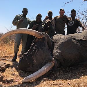 Zimbabwe Hunting Elephant