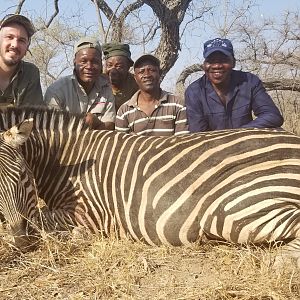 Zimbabwe Hunt Burchell's Plain Zebra