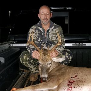 USA Hunt Whitetail Deer