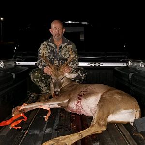 Hunting Whitetail Deer USA