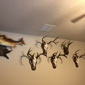 Trophy Room