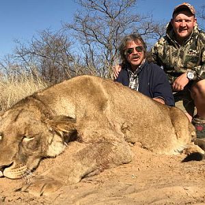 South Africa Hunting Lioness