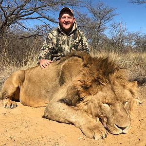 Hunt Lion in South Africa