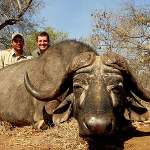 Cape Buffalo Hunt South Africa