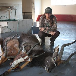 Hunt Impala, Blesbok & Nyala in South Africa