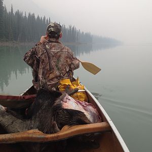 Hunting Moose