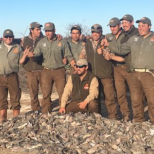 Dove Wingshooting Argentina