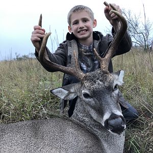 Whitetail Deer Hunting Texas USA