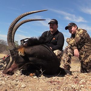 South Africa Bow Hunting Sable Antelope