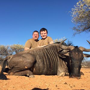 South Africa Bow Hunt Blue Wildebeest
