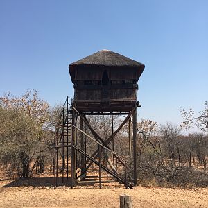 Bow Hunting Hide South Africa