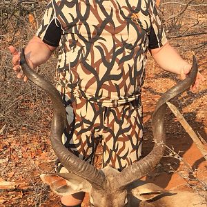 Kudu Bow Hunt South Africa