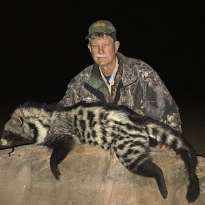 South Africa Hunt African Civet