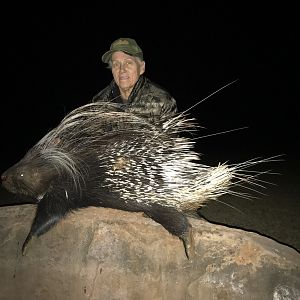 Hunting African Porcupine in South Africa