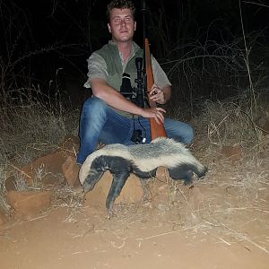 African Honey Badger Hunt South Africa