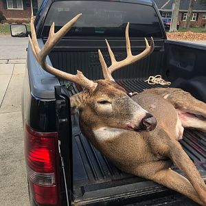 Kentucky USA Hunt Whitetail Deer