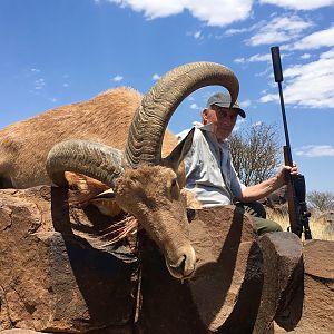 Aoudad Hunting South Africa
