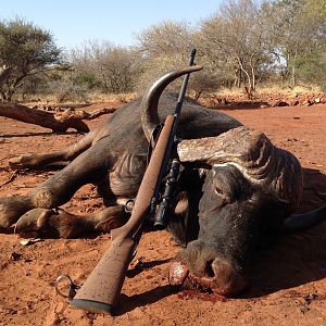 South Africa Hunt Cape Buffalo