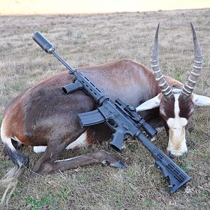 Hunting Blesbok in South Africa