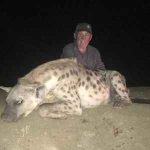 Hunt Spotted Hyena in South Africa