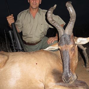 Hunting Red Hartebeest in South Africa