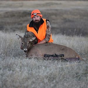 Hunt Mule Deer Doe