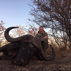 Cape Buffalo Hunt Zimbabwe