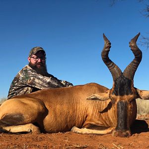 Hunt Red Hartebeest in South Africa