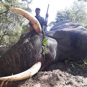 Namibia Hunting Elephant