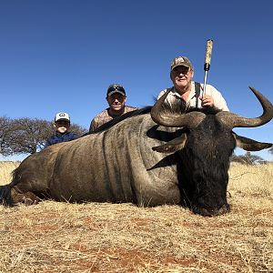 Blue WIldebeest Hunt South Africa