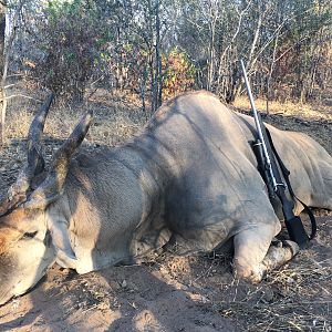 Zimbabwe Hunt Livingstone Eland