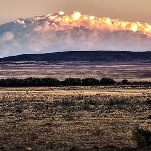 South Africa Hunting Area