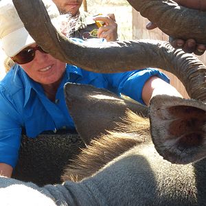 Volunteering on wildlife reserves and with wildlife veterinarians in Africa