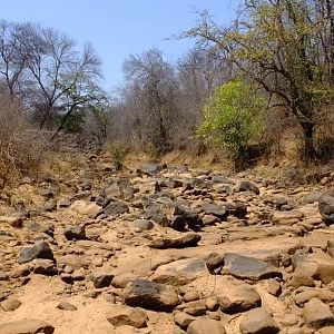 Dry Riverbed Zimbabwe