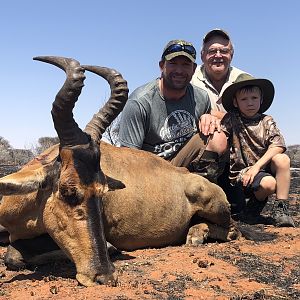Red Hartebeest Hunt South Africa