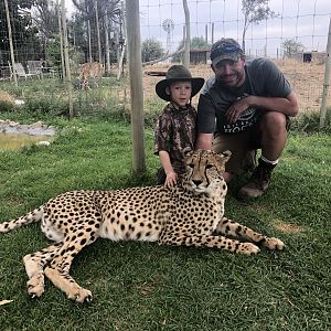 Petting Cheetah