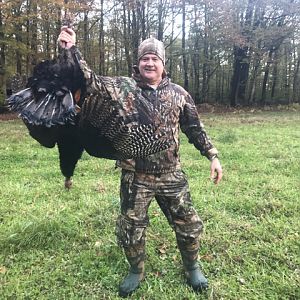 Turkey Hunt Pennsylvania USA