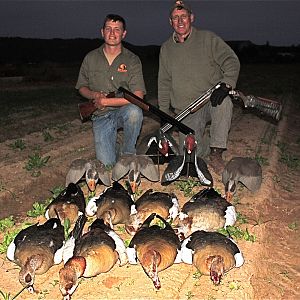 Goose Hunt South Africa