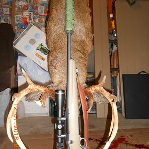 Ruger Ranch Rifle in 300