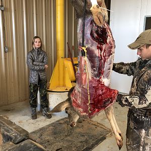 Skinning Deer