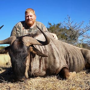 South Africa Hunt Blue Wildebeest