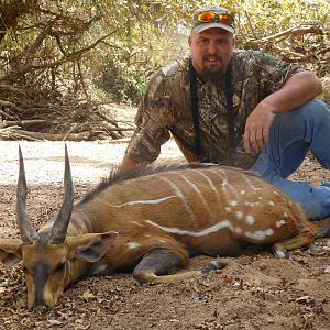 Burkina Faso Hunting Harnessed Bushbuck