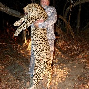 Zambia Hunt Leopard