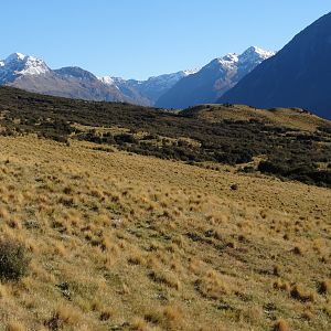 New Zealand Hunt