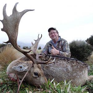 Hunt Fallow Deer in New Zealand