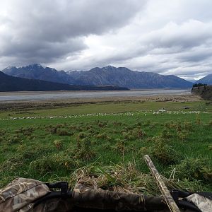 Duck Hunt in New Zealand