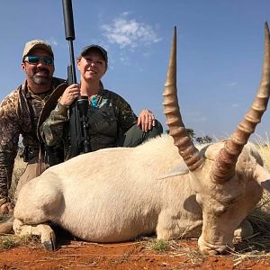 South Africa Hunt White Blesbok