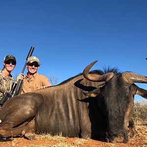 Hunting Blue WIldebeest in South Africa